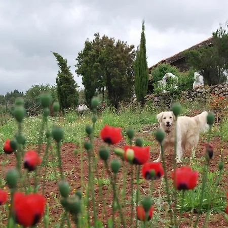 Home2book Volcano Views Eco-house El Tanque