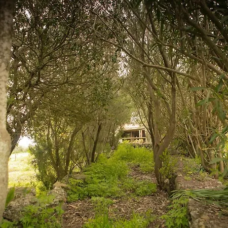Home2book Volcano Views Eco-house El Tanque